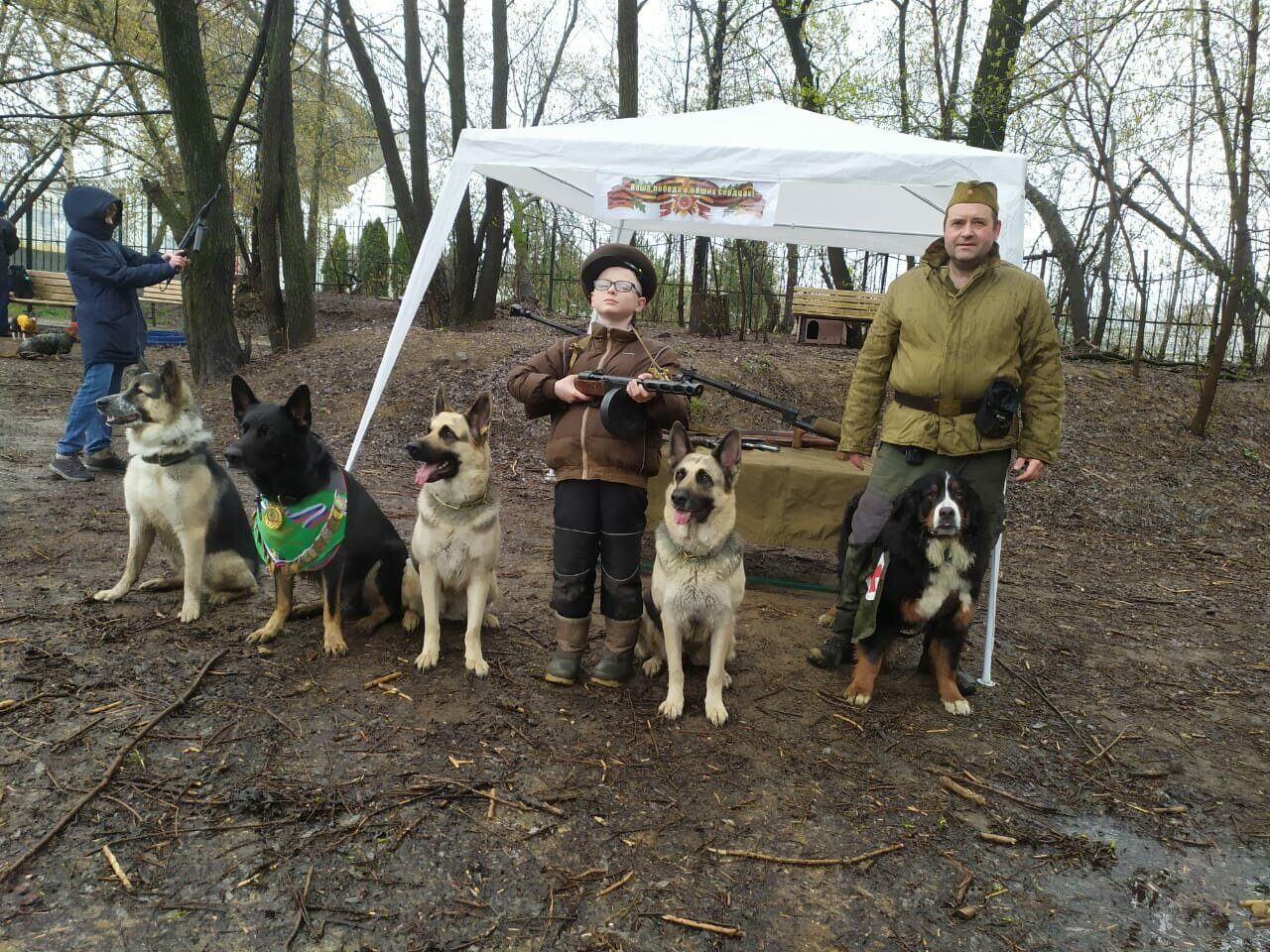 Новости Спортивно Дрессировочной Площадки Ховрино